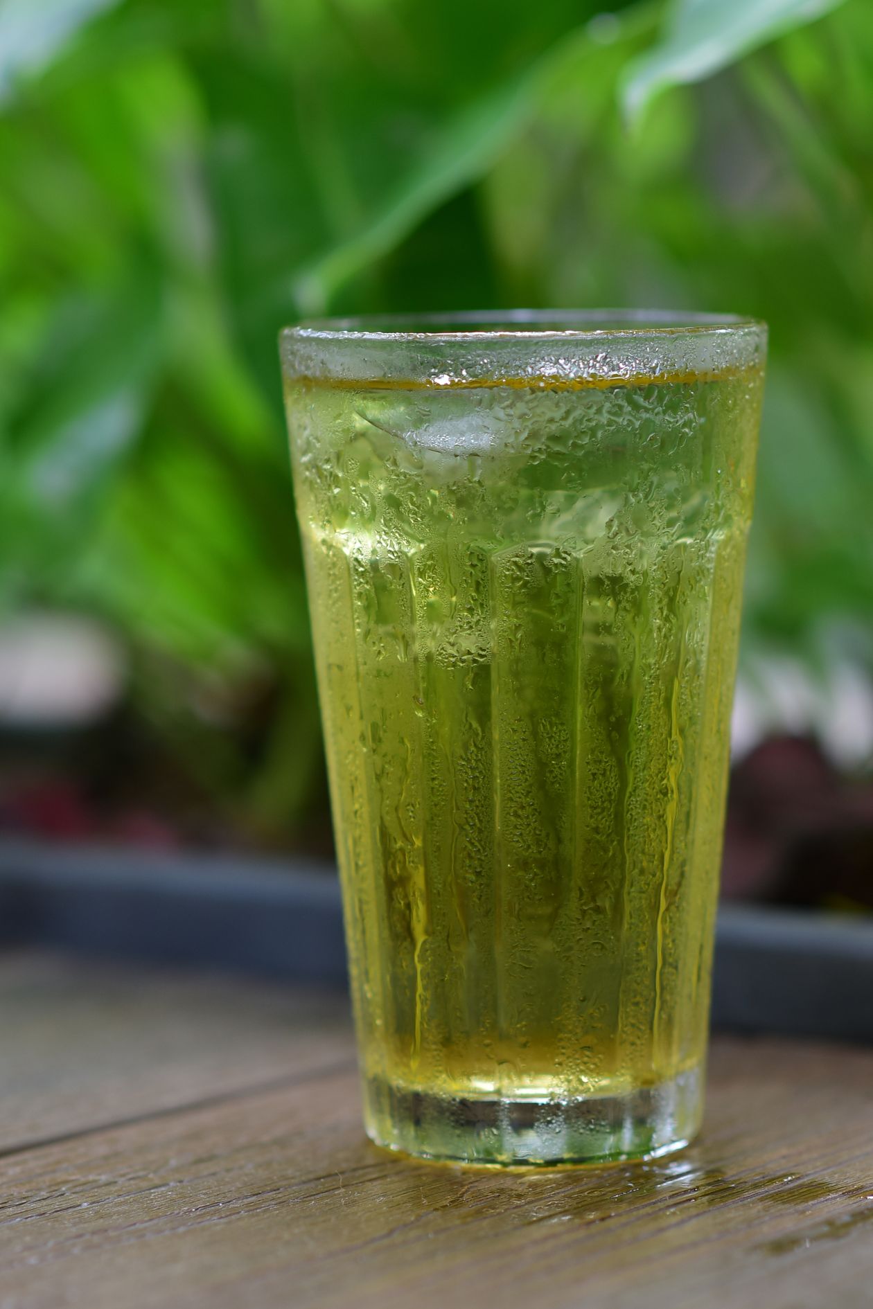 Té verde y peso: qué puede hacer realmente